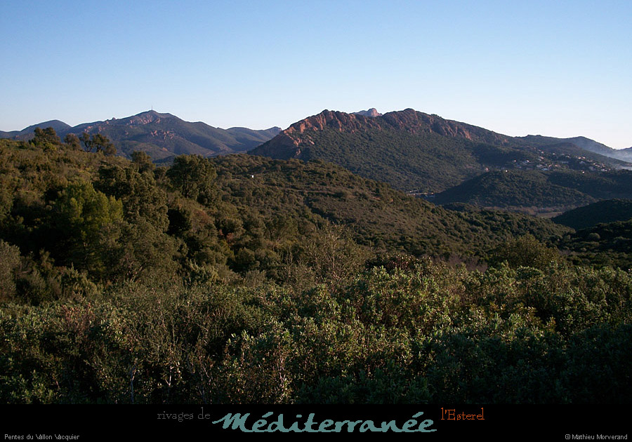 20111222_esterel_pentesduvallonvacquier