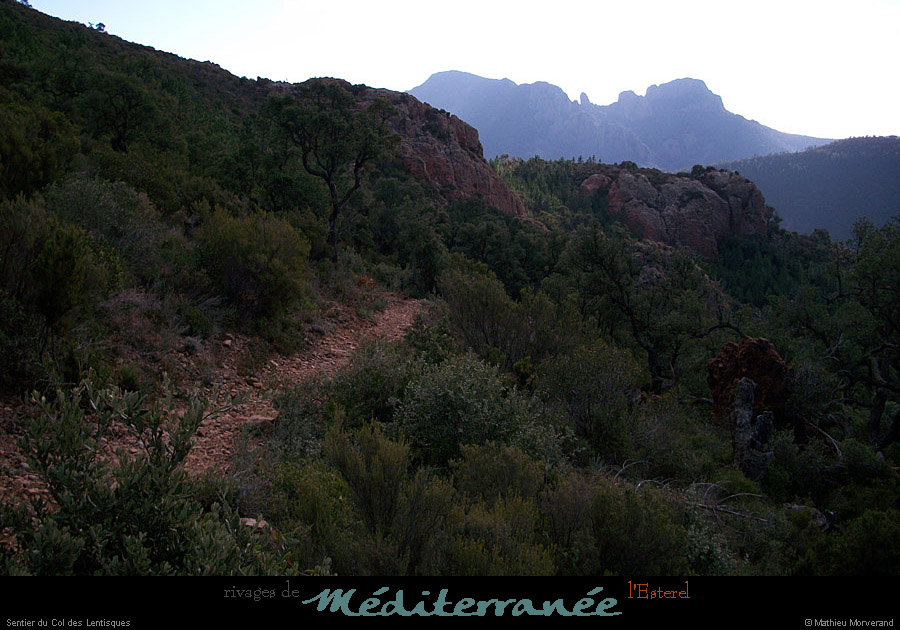 20111223_esterel_cheminducoldeslentisques1