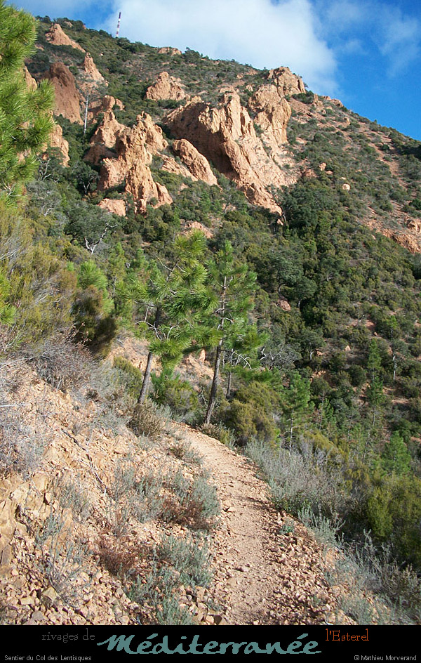 20111223_esterel_cheminducoldeslentisques3