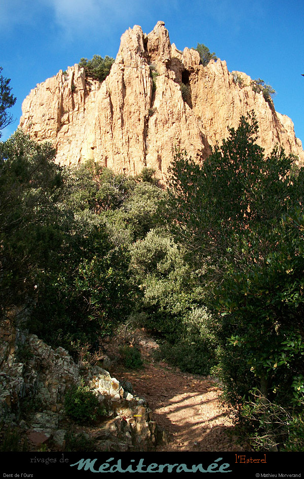 20111223_esterel_dentdelours1