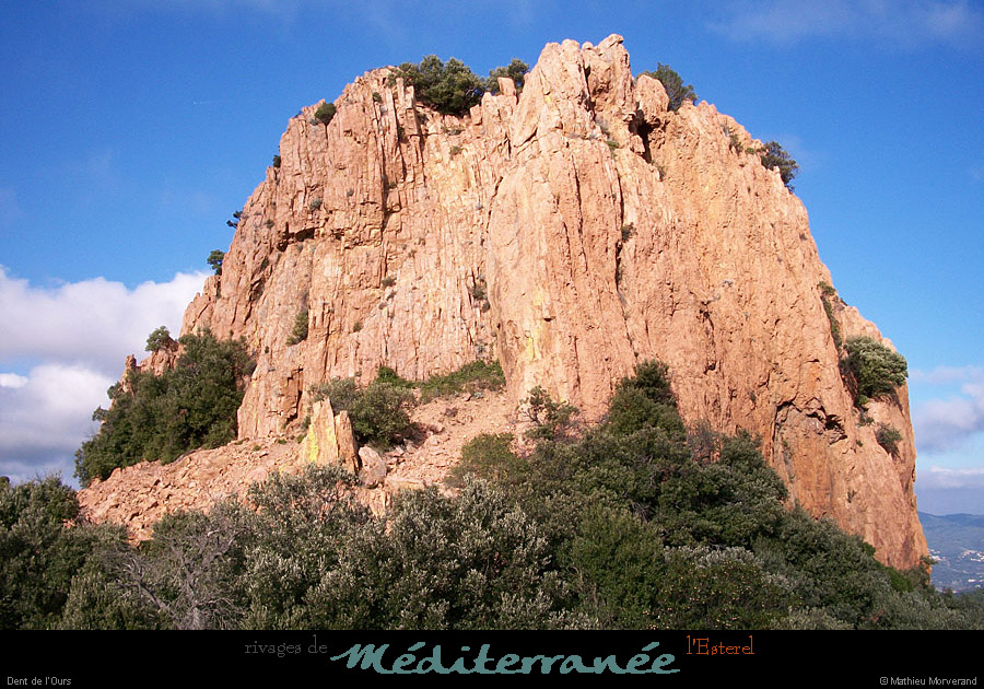 20111223_esterel_dentdelours2