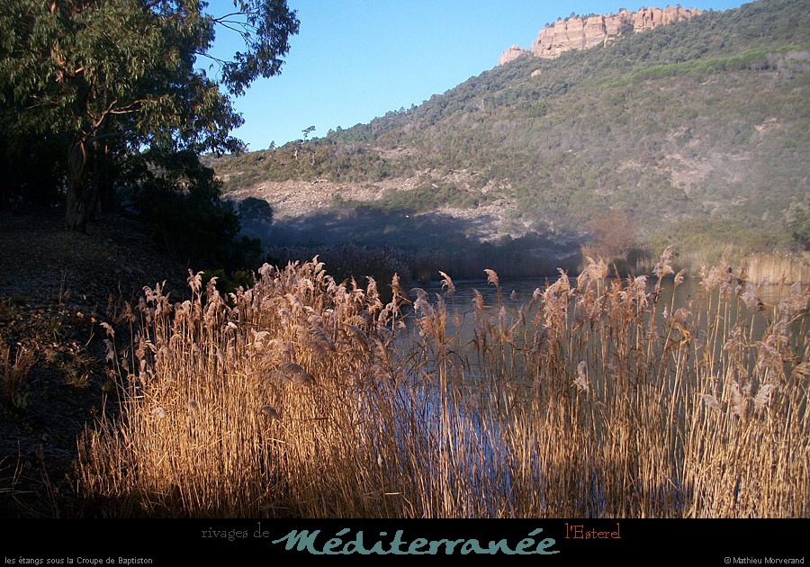 20111223_esterel_etangsslacroupebaptiston