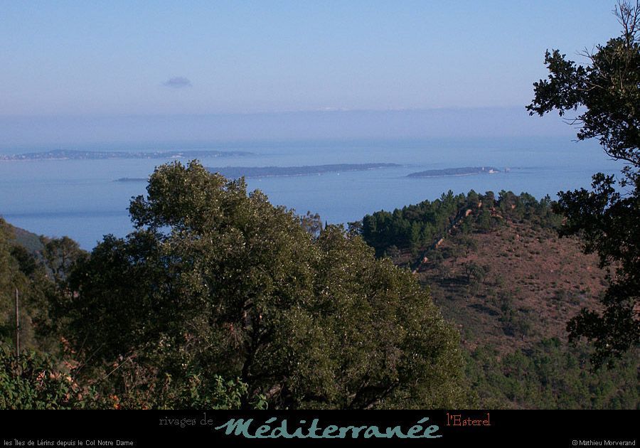 20111223_esterel_ileslerinsdepuiscolnotredame