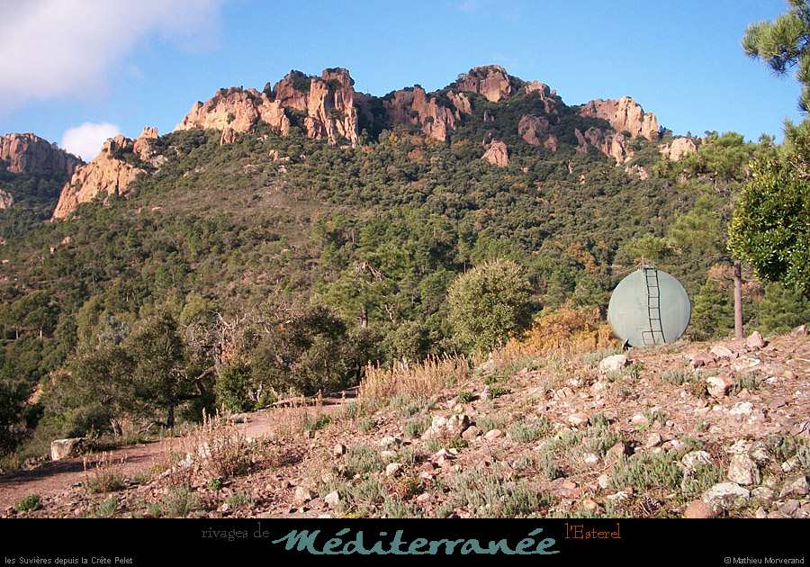 20111223_esterel_lesuvieresdepuiscretepelet