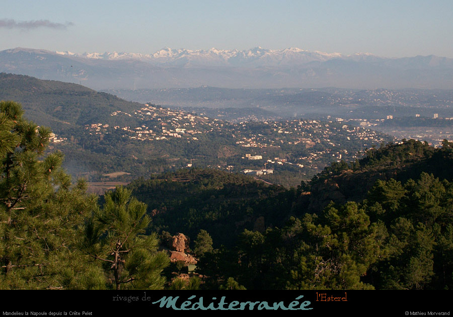 20111223_esterel_mandelieunapouledepuiscretepelet