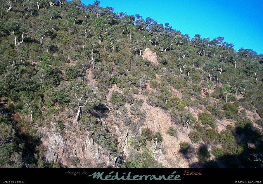 20111223_esterel_pentesdubaladou