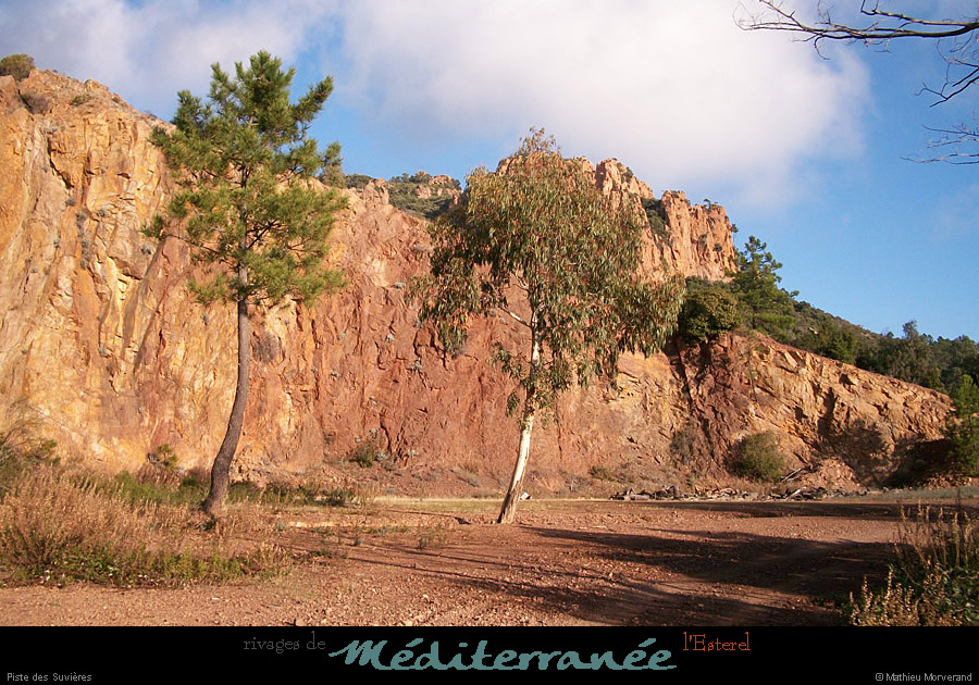 20111223_esterel_pistedessuvieres