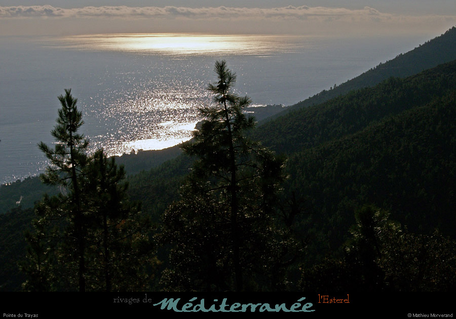 20111223_esterel_pointedutrayas