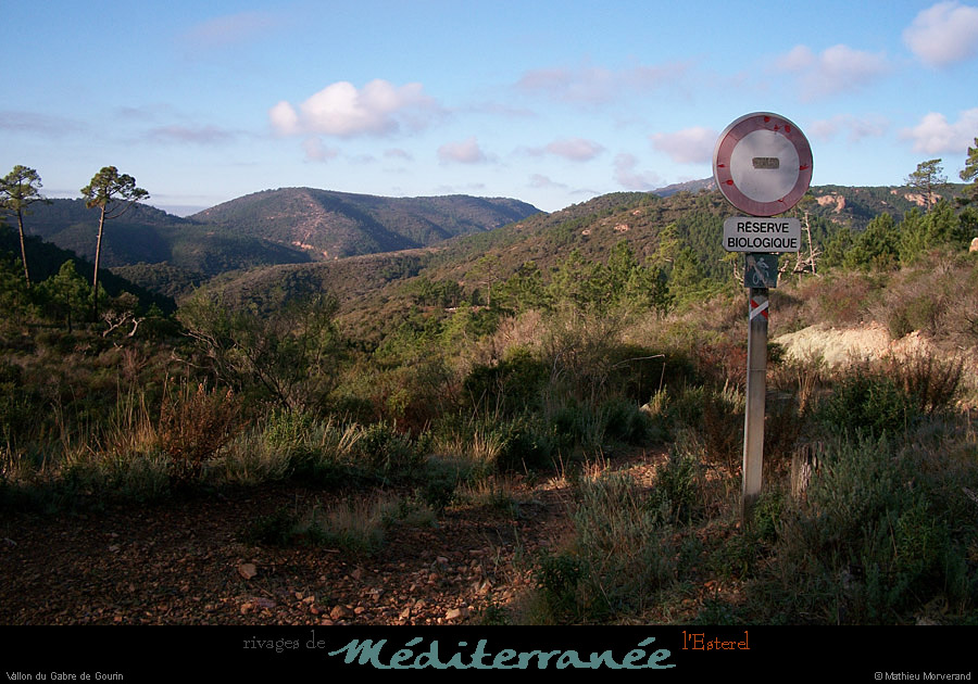 20111223_esterel_vallondugabredugourin_balisage