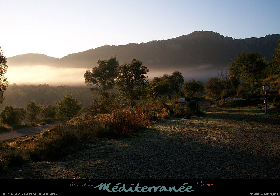 20111223_esterel_vallongrenouilletdecoldebellebarbe1