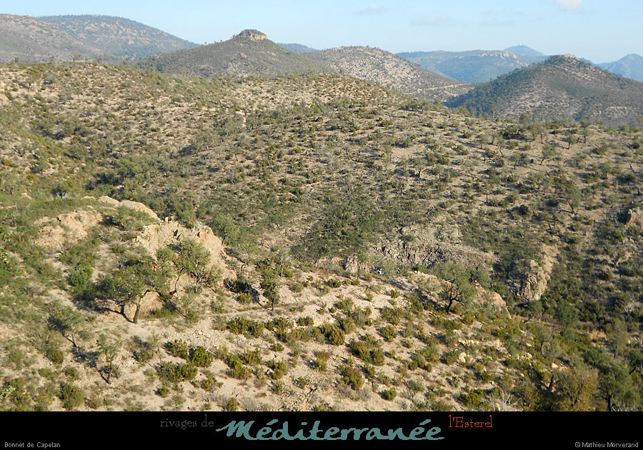 20120118_esterel_bonneldecapelan
