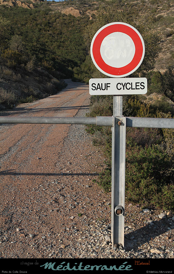 20120118_esterel_pistedecolledouce_balisage2