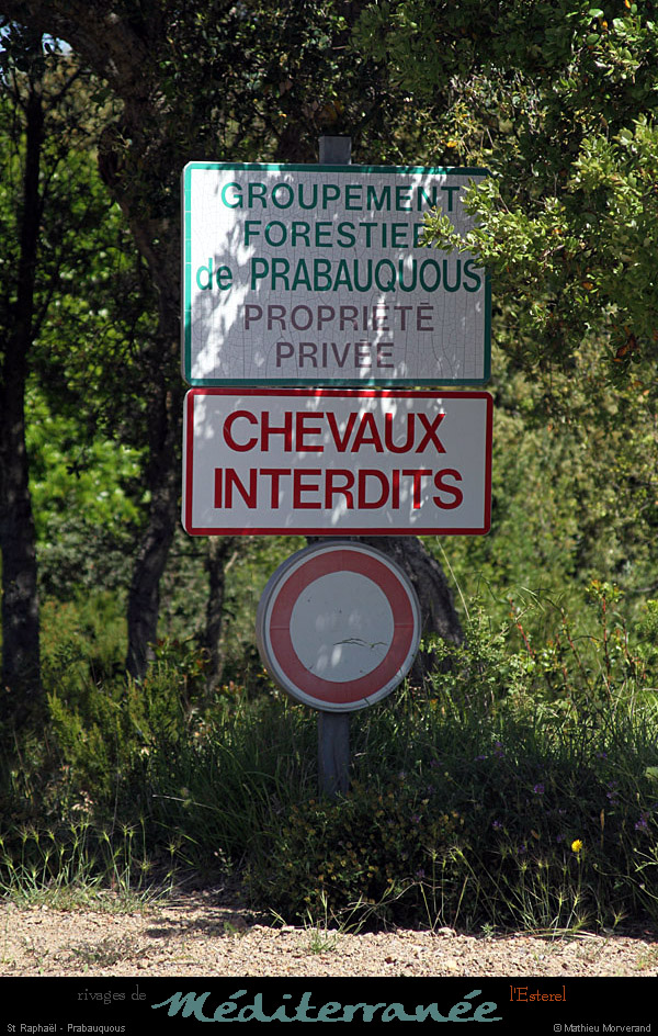 20120517_straphael_foretprabaucous_balisage