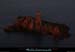 20111222_esterel_dramont_aurore_iledor08