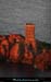 20111222_esterel_dramont_aurore_iledor17
