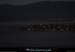 20111222_esterel_dramont_baiedestraphael_5