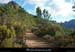 20111223_esterel_cheminsslepicdelescale