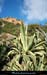20111223_esterel_coldes3termes1