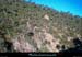 20111223_esterel_pentesdubaladou