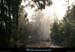 20111223_esterel_pistedumamelondesaulnes1