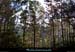 20111223_esterel_vallondestroistermes