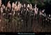 20120117_esterel_vallondegardevieille