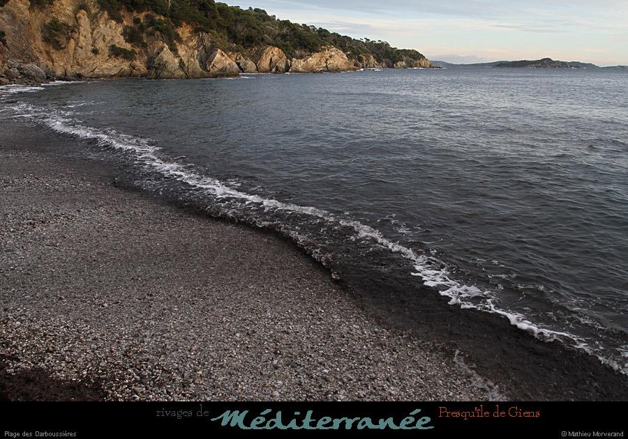 20111231_giens_plagedesdarboussieres1