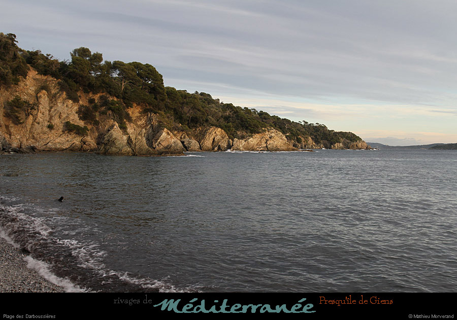 20111231_giens_plagedesdarboussieres2