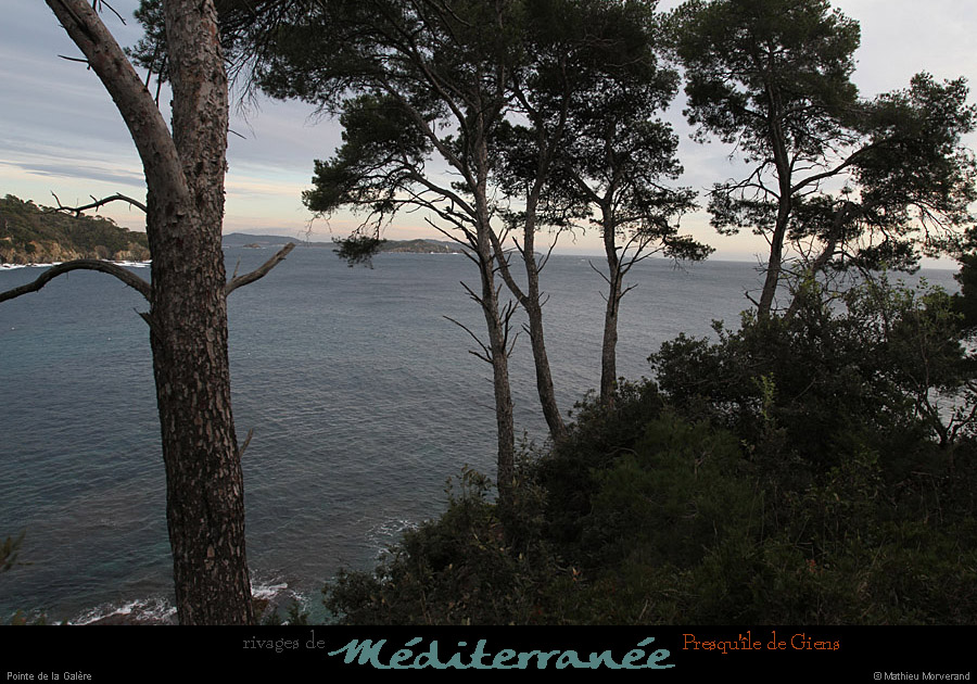 20111231_giens_ptedelagalere01