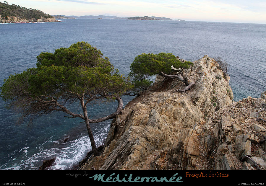 20111231_giens_ptedelagalere04