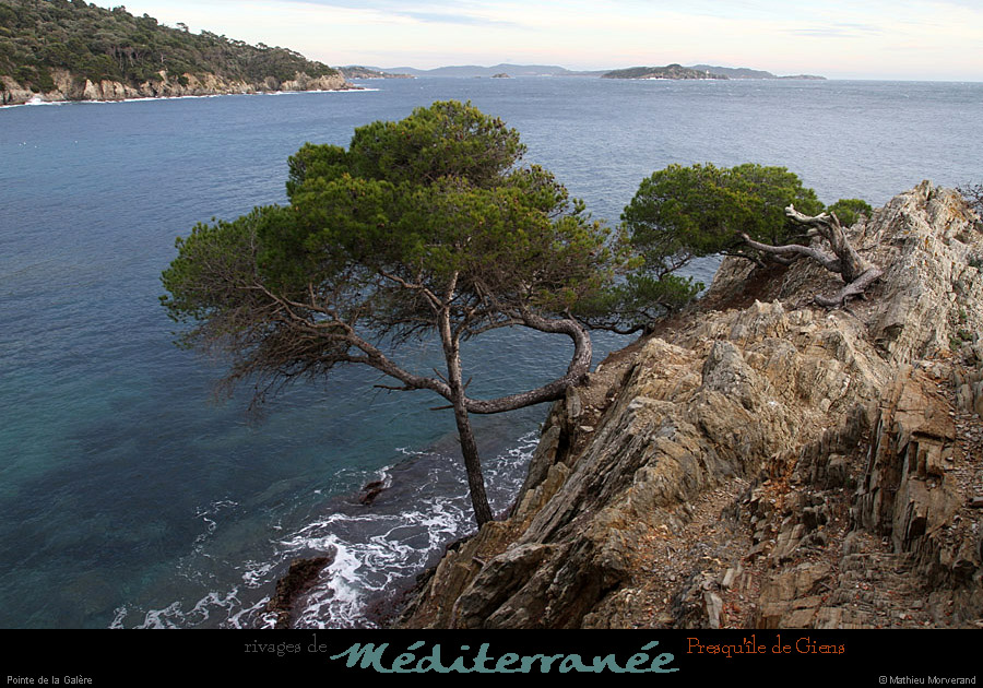 20111231_giens_ptedelagalere05