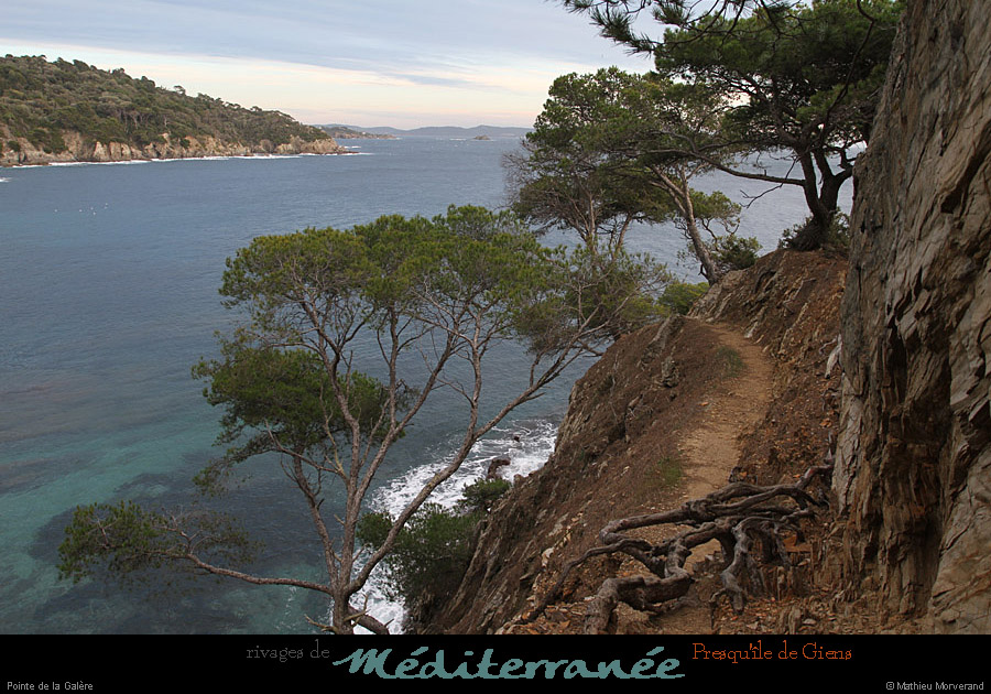 20111231_giens_ptedelagalere06