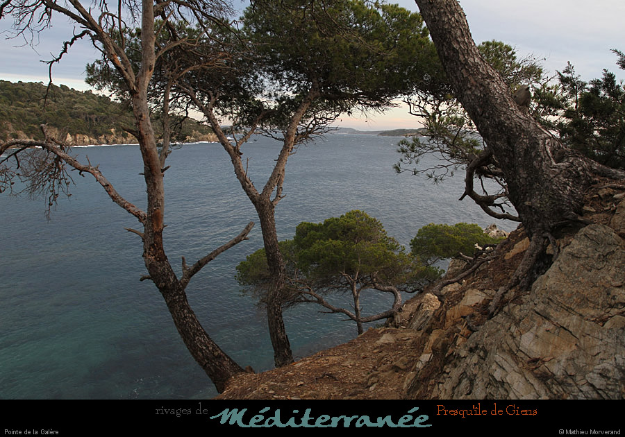 20111231_giens_ptedelagalere07