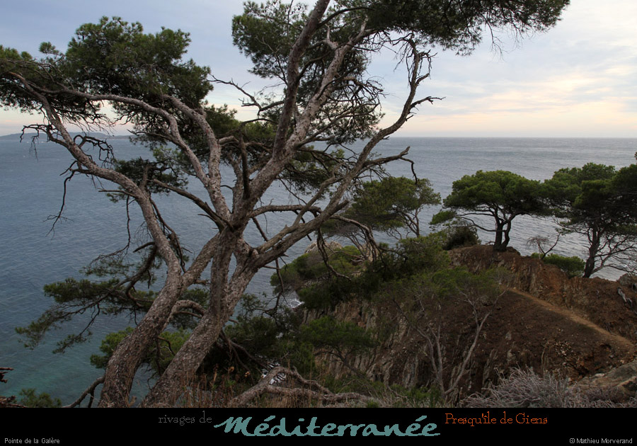 20111231_giens_ptedelagalere08