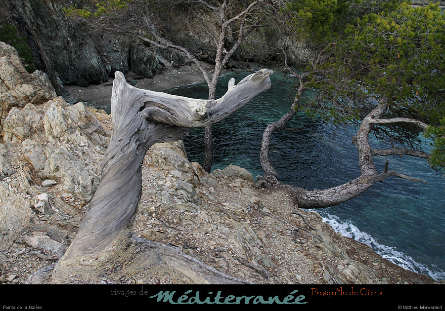 20111231_giens_ptedelagalere10