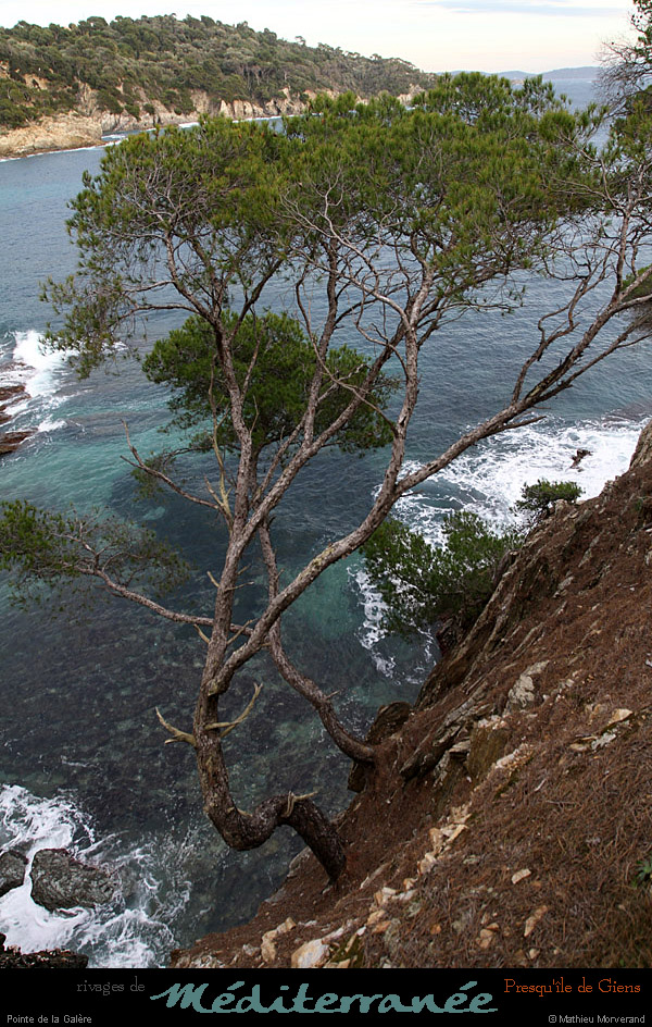20111231_giens_ptedelagalere12