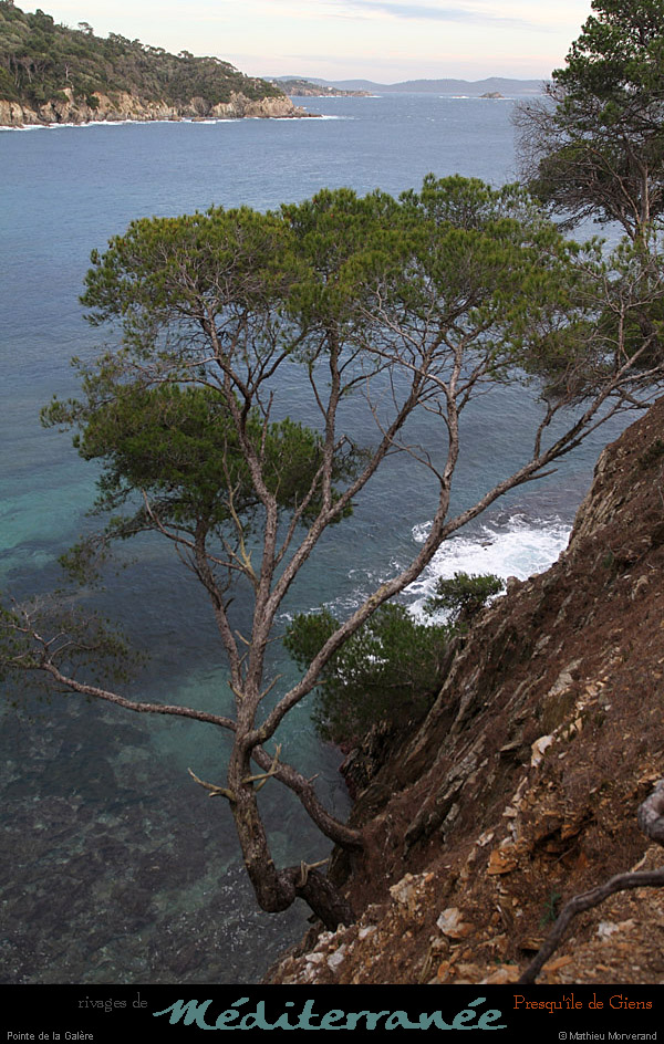 20111231_giens_ptedelagalere13