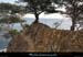 20111231_giens_ptedelagalere03