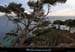 20111231_giens_ptedelagalere08