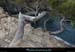 20111231_giens_ptedelagalere10