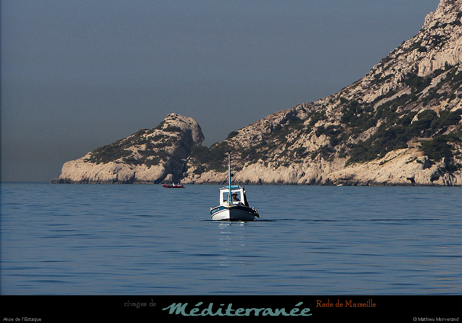 20130903_anseestaque1