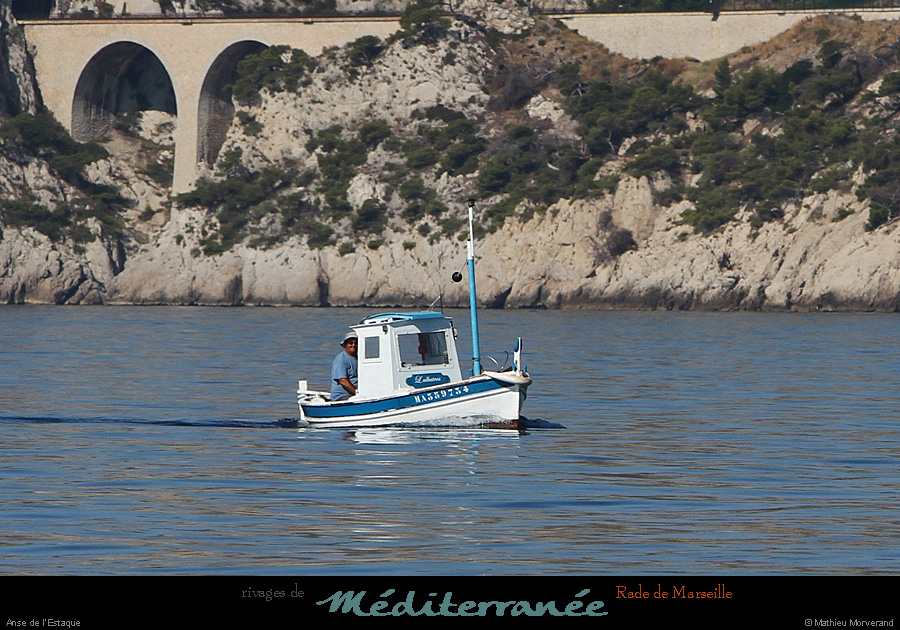 20130903_anseestaque2