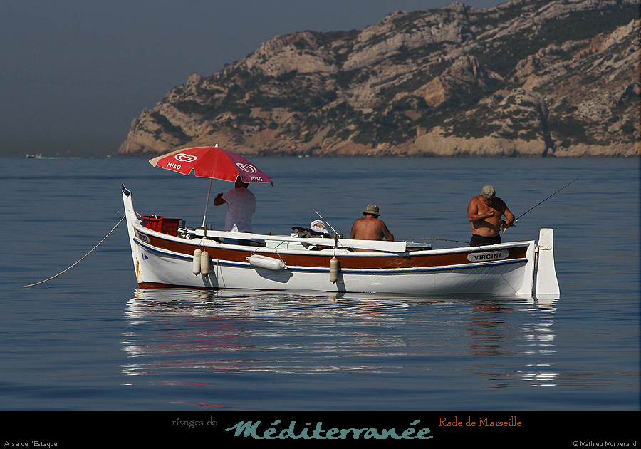 20130903_anseestaque6