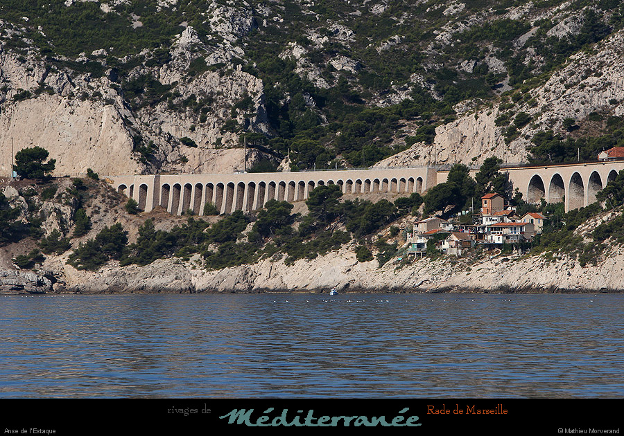 20130903_anseestaque_caudelette