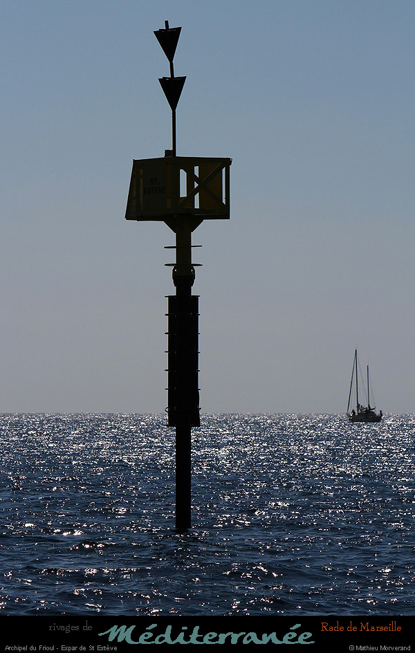 20130903_ileratonneau_marquesudstesteve1