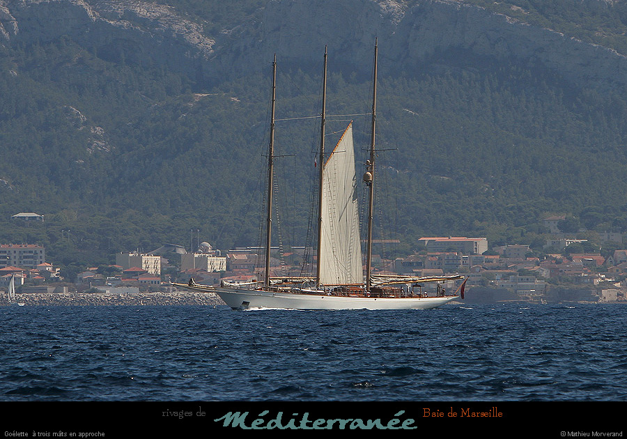 20130903_voilieradix01