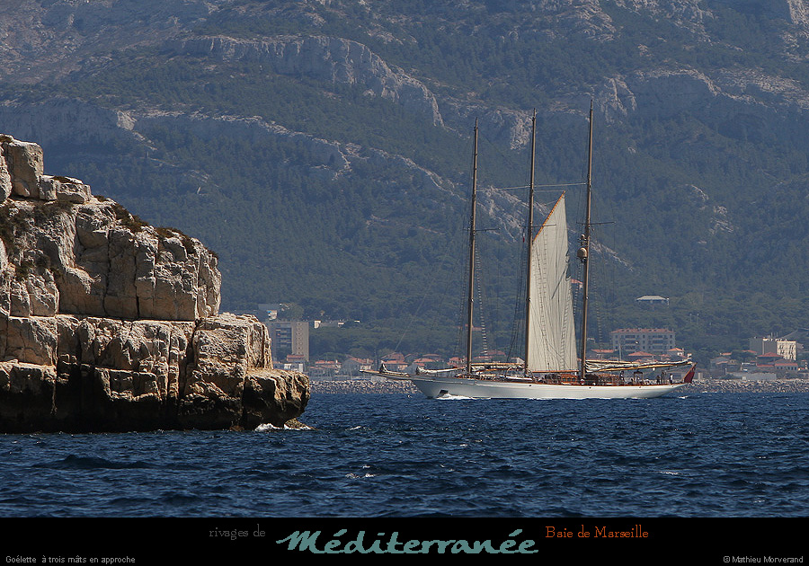 20130903_voilieradix02