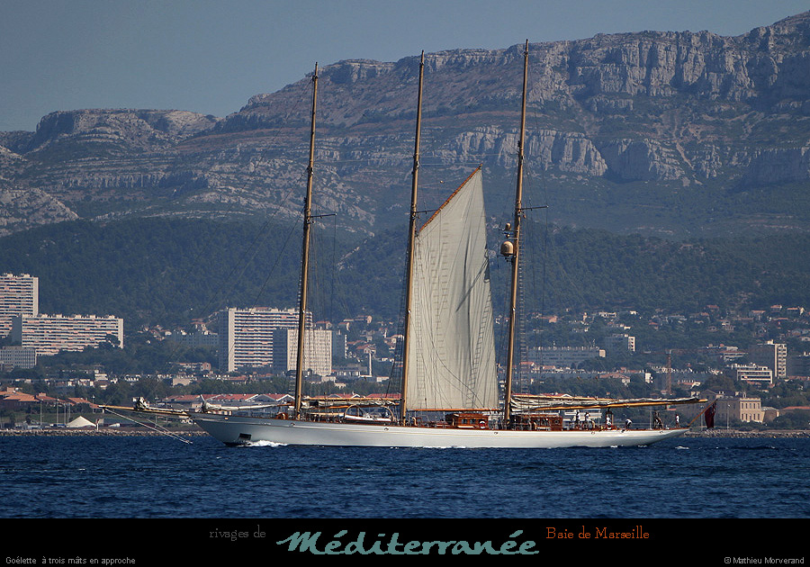 20130903_voilieradix03