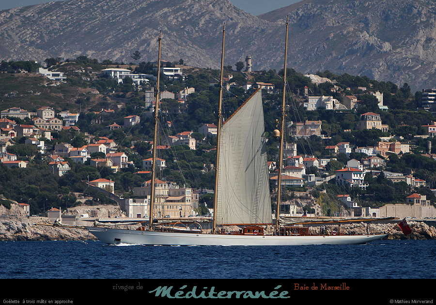 20130903_voilieradix04