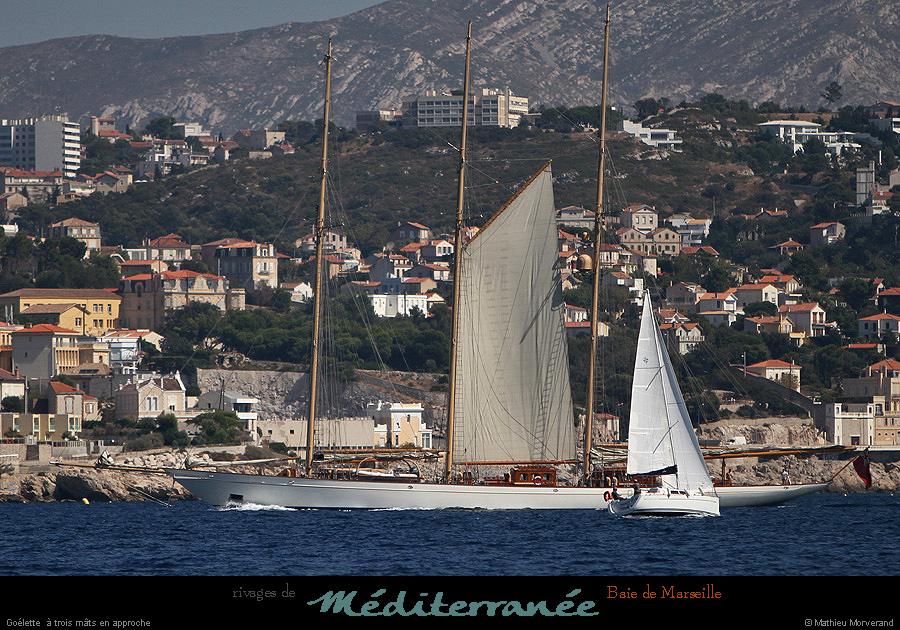 20130903_voilieradix05